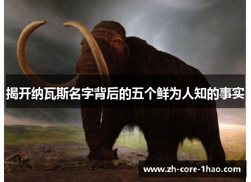 揭开纳瓦斯名字背后的五个鲜为人知的事实