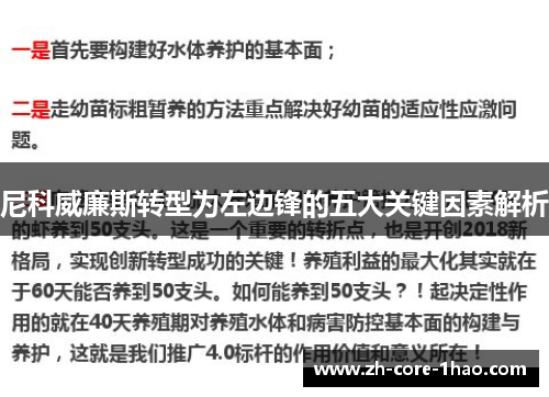 尼科威廉斯转型为左边锋的五大关键因素解析