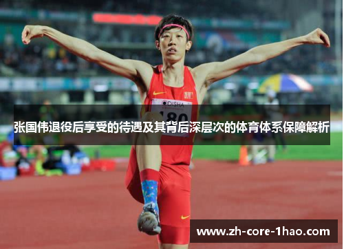 张国伟退役后享受的待遇及其背后深层次的体育体系保障解析