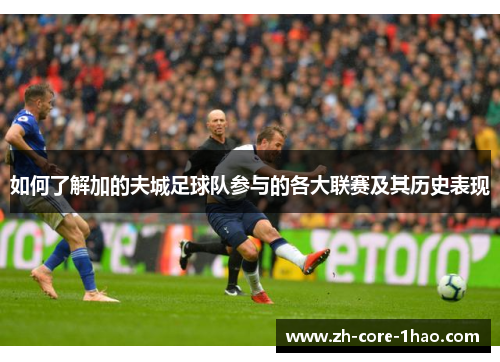 如何了解加的夫城足球队参与的各大联赛及其历史表现